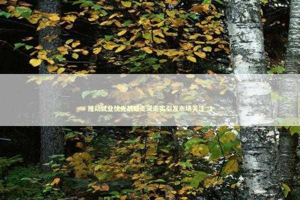 推动就业优先战略走深走实引发市场关注_1 推动就业优先战略走深走实引发市场关注_1 新闻