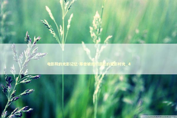 电影院的光影记忆-那些被我们遗忘的观影时光_4 电影院的光影记忆-那些被我们遗忘的观影时光_4 新闻
