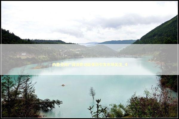 内需空间广阔消费动能强劲引发市场关注_4