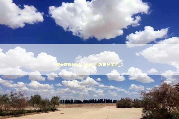 皖天转债(sh113631)引发市场关注_1 新闻