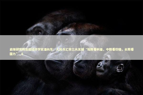 启铼研究院首席经济学家潘向东：人民币汇率三大关键“短期看利差，中期看价格，长期看国力”_6 新闻
