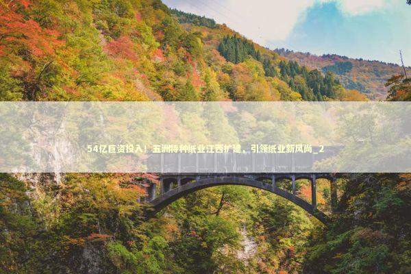 54亿巨资投入！五洲特种纸业江西扩建，引领纸业新风尚_2 新闻