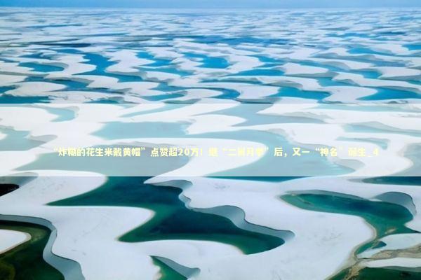 “炸糊的花生米戴黄帽”点赞超20万！继“二舅月季”后，又一“神名”诞生_4