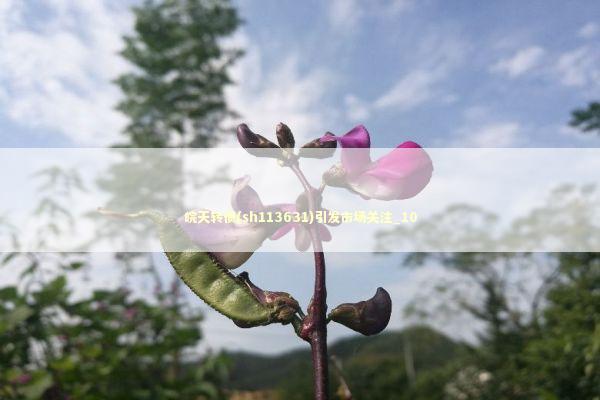 皖天转债(sh113631)引发市场关注_10 新闻