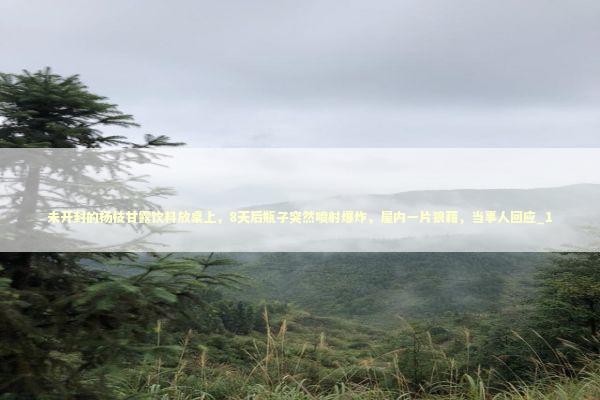 未开封的杨枝甘露饮料放桌上，8天后瓶子突然喷射爆炸，屋内一片狼藉，当事人回应_1