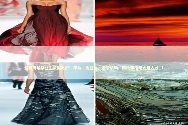 最新清华毕业生数据出炉！华为、比亚迪、字节跳动、腾讯等抢走大量人才_1 新闻