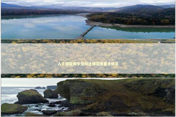 人工智能数字空间法律治理要点速览 新闻