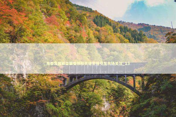 海泰发展被立案受损股民速索赔引发市场关注_13 新闻