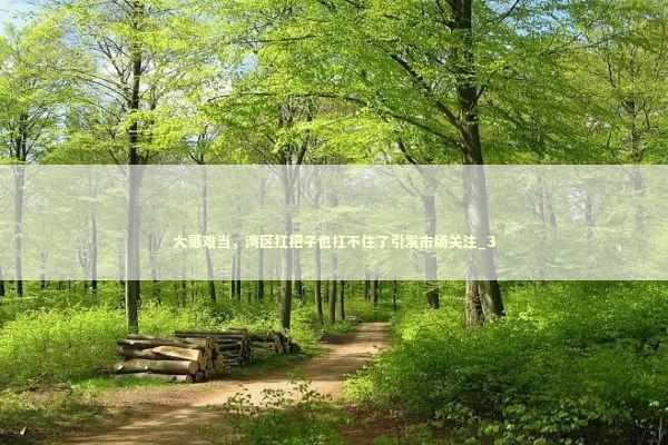 大哥难当，湾区扛把子也扛不住了引发市场关注_3 新闻