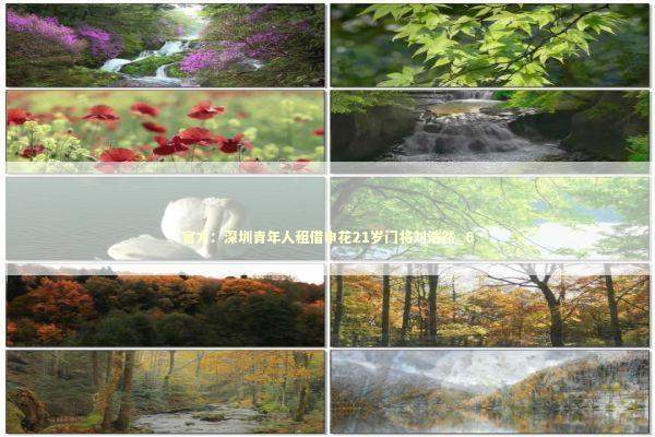 官方：深圳青年人租借申花21岁门将刘浩然_6 新闻