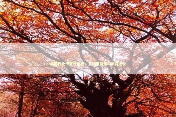 电商行业传来好消息：直播带货带动消费增长