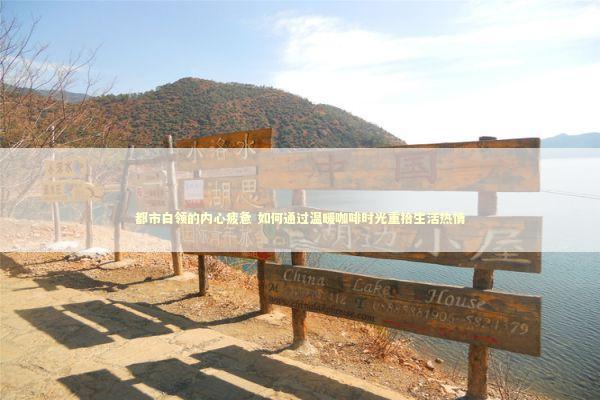 都市白领的内心疲惫 如何通过温暖咖啡时光重拾生活热情 新闻