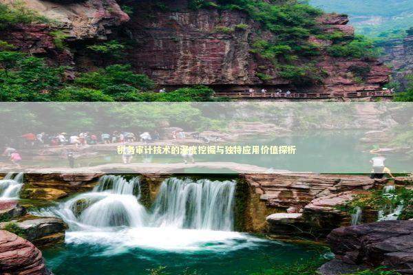 税务审计技术的深度挖掘与独特应用价值探析 股票财经