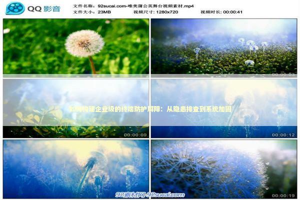 如何构建企业级的终端防护屏障：从隐患排查到系统加固 IT技术